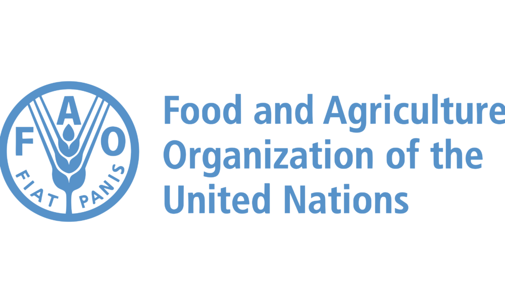 FAO empowers small-scale farmers to boost food security, employment in N'East
