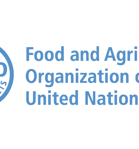 FAO empowers small-scale farmers to boost food security, employment in N'East