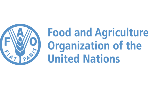 FAO empowers small-scale farmers to boost food security, employment in N'East