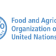 FAO empowers small-scale farmers to boost food security, employment in N'East