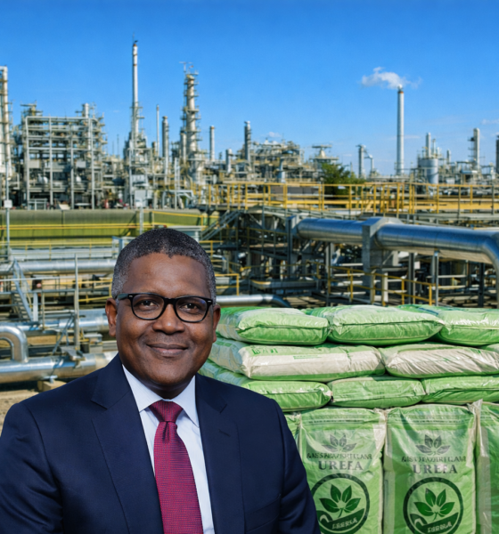 Dangote Invests N241m in Education, Empowers 3,700 Students in Lagos Communities