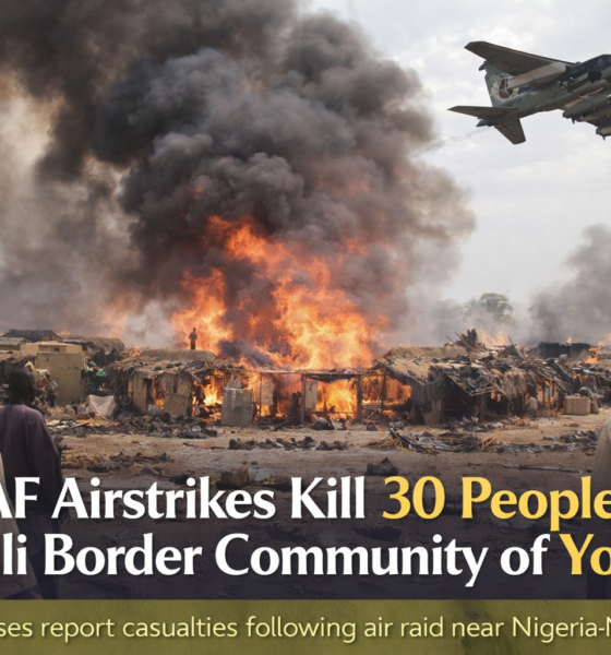 NAF airstrikes kill 30 people in Jilli border community of Yobe.