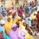 Boko Haram Video Shows 416 Abducted Ngoshe Residents, Appeals for Rescue Intensify