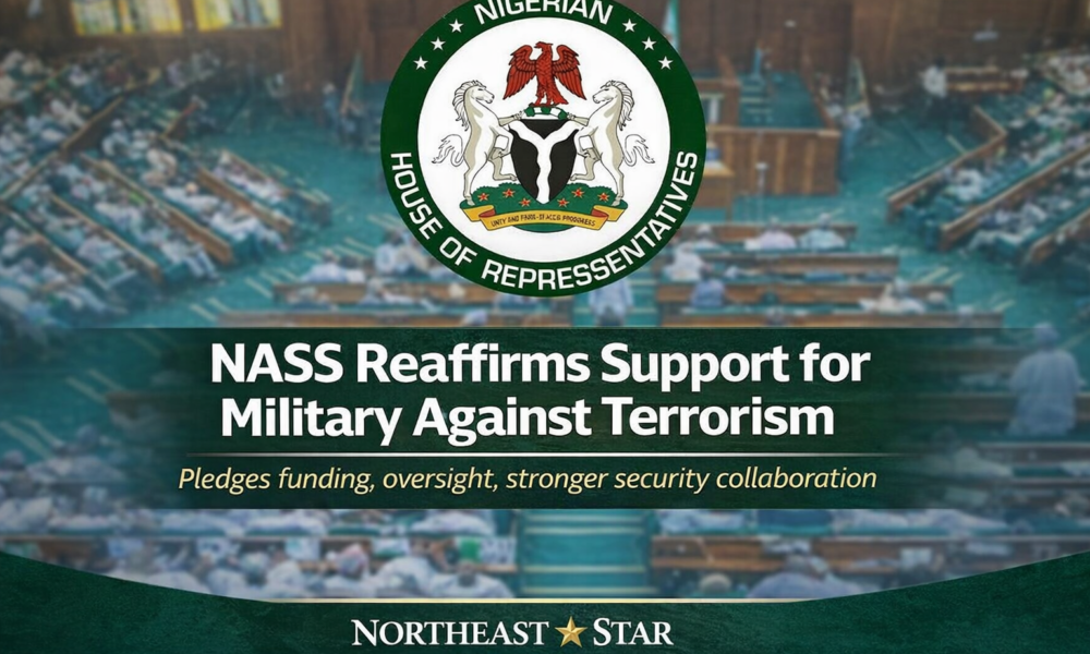 NASS Reaffirms Backing for Military After Deadly Borno Attack