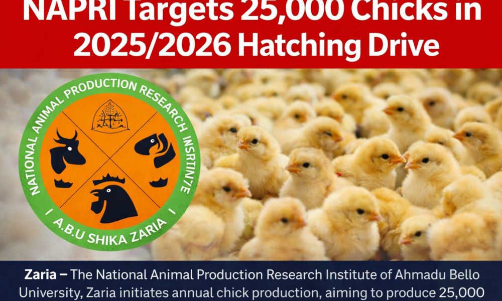 NAPRI Targets 25,000 Chicks in 2025/2026 Hatching Drive
