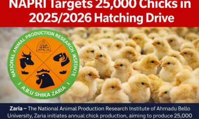 NAPRI Targets 25,000 Chicks in 2025/2026 Hatching Drive