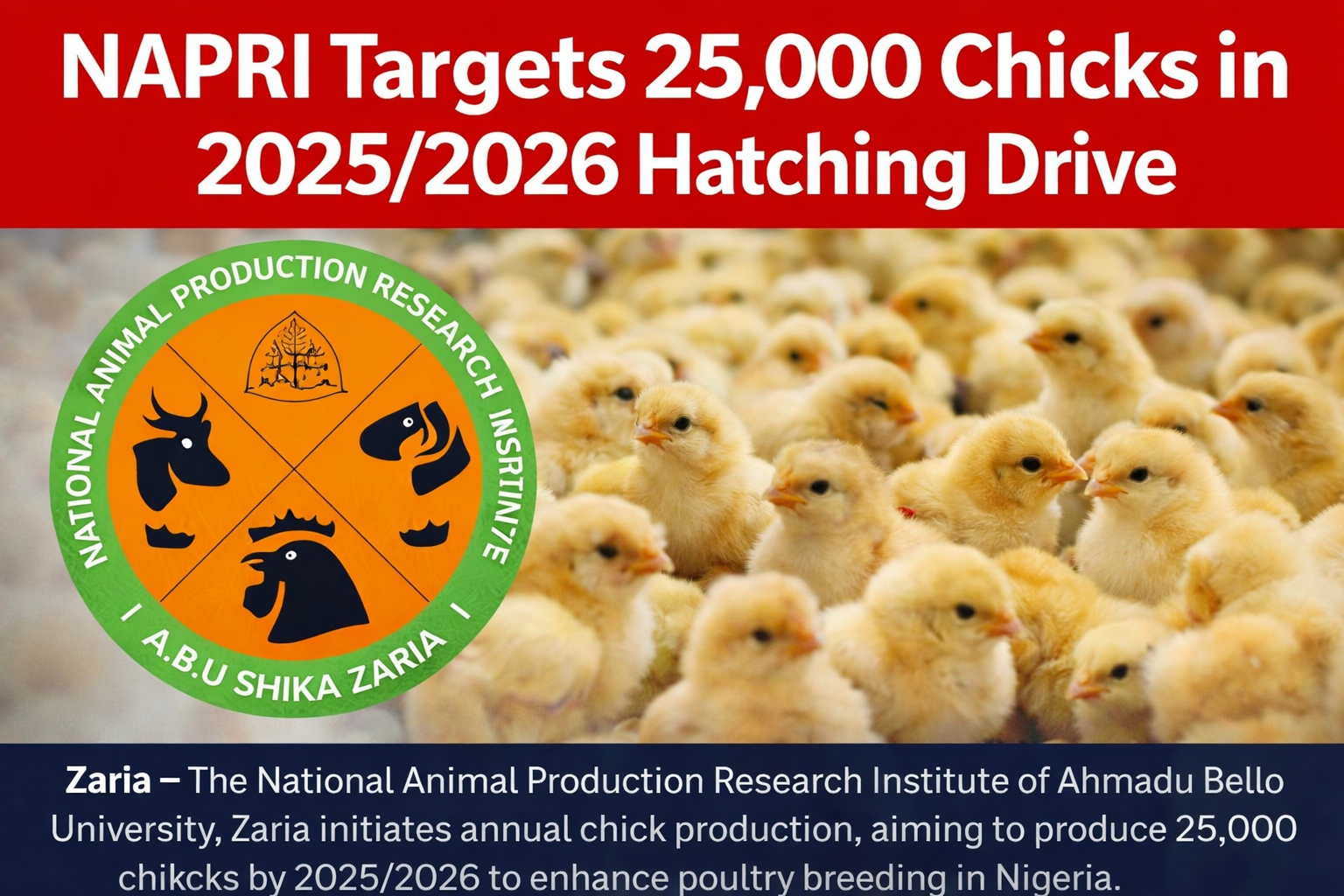 NAPRI Targets 25,000 Chicks in 2025/2026 Hatching Drive