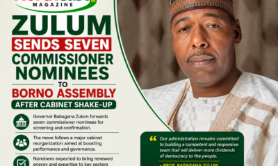 Zulum Sends Seven Commissioner Nominees to Borno Assembly After Cabinet Shake-Up