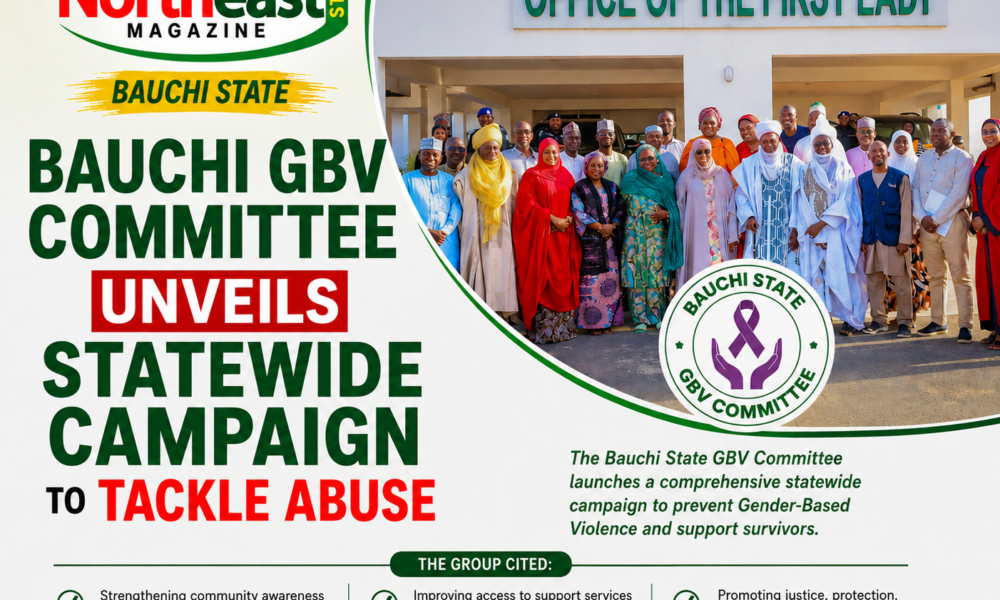 Bauchi GBV Committee Unveils Statewide Campaign to Tackle Abuse