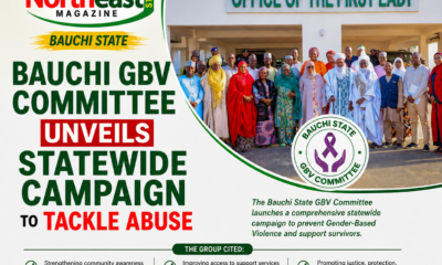Bauchi GBV Committee Unveils Statewide Campaign to Tackle Abuse