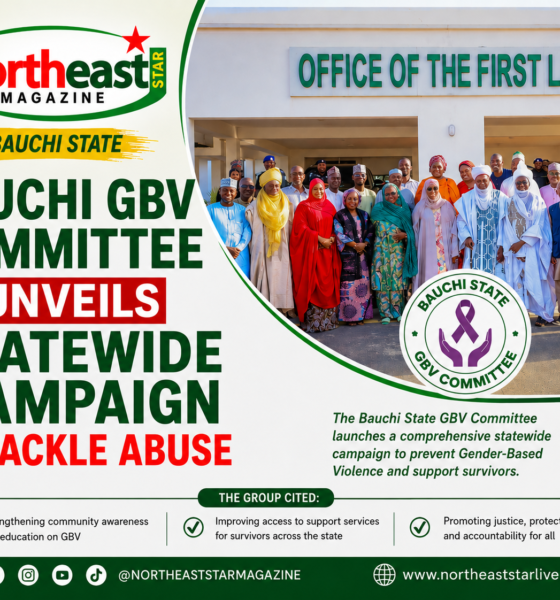 Bauchi GBV Committee Unveils Statewide Campaign to Tackle Abuse