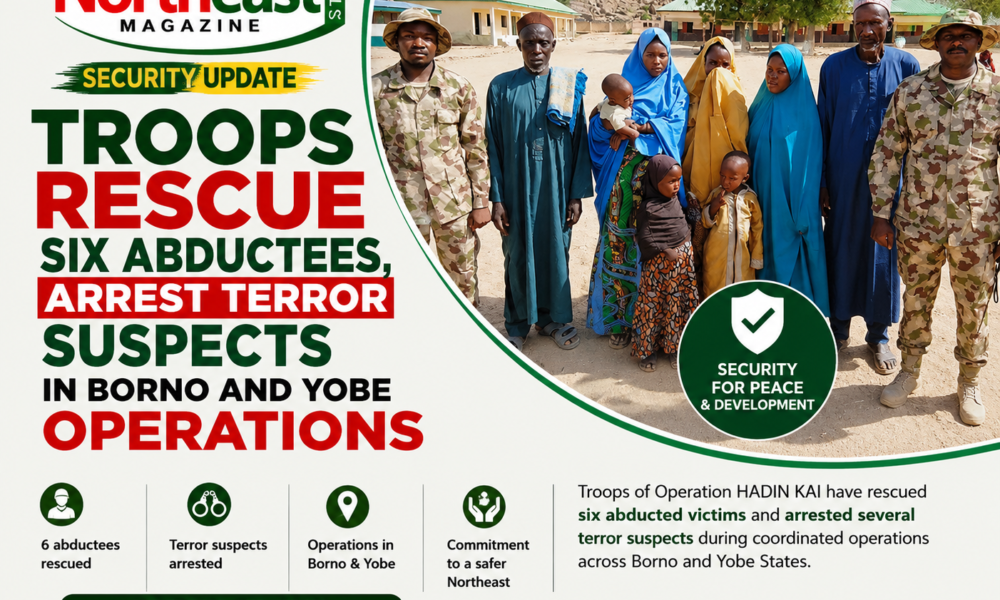 Troops Rescue Six Abductees, Arrest Terror Suspects in Borno and Yobe Operations