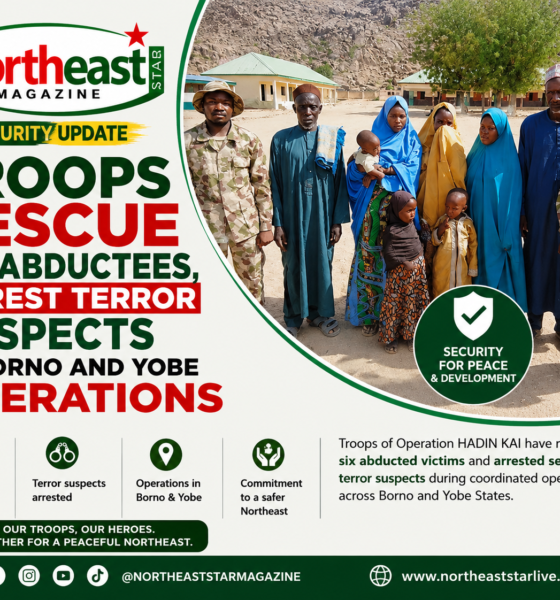 Troops Rescue Six Abductees, Arrest Terror Suspects in Borno and Yobe Operations