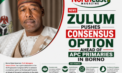 Zulum Pushes Consensus Option Ahead of APC Primaries in Borno