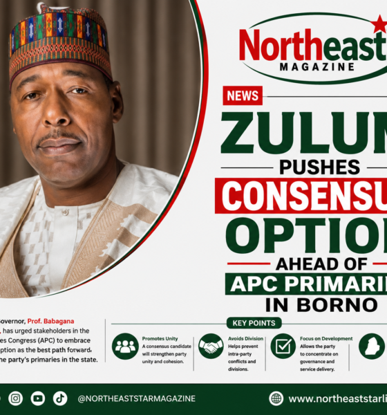Zulum Pushes Consensus Option Ahead of APC Primaries in Borno
