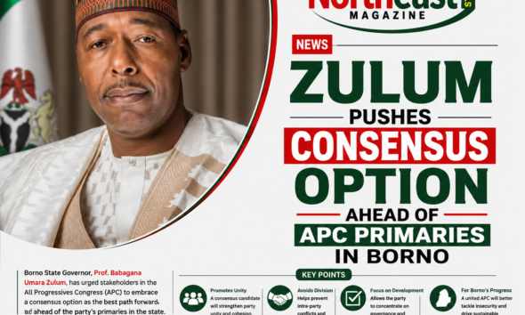 Zulum Pushes Consensus Option Ahead of APC Primaries in Borno