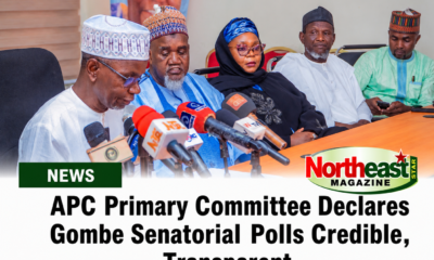 APC Primary Committee Declares Gombe Senatorial Polls Credible, Transparent