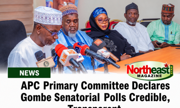 APC Primary Committee Declares Gombe Senatorial Polls Credible, Transparent