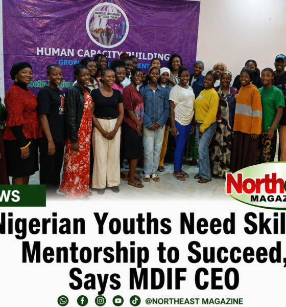 Nigerian Youths Need Skills, Mentorship to Succeed, Says MDIF CEO