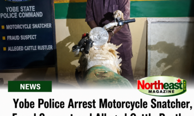 Yobe Police Arrest Motorcycle Snatcher, Fraud Suspect, Alleged Cattle Rustler