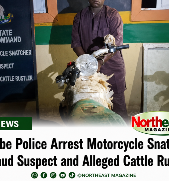 Yobe Police Arrest Motorcycle Snatcher, Fraud Suspect, Alleged Cattle Rustler