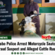 Yobe Police Arrest Motorcycle Snatcher, Fraud Suspect, Alleged Cattle Rustler