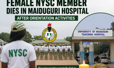 A coalition of major political  groups in the 17 Local Government Areas (LGAs) of Yobe state, have unanimously endorsed Alhaji Baba Malam Wali's aspiration to contest the 2027 gubernatorial election in the state. According to the coalition,  two prominent aspiring Senators have agreed to step down for Wali to become an APC consensus candidate to contest the governorship in 2027. The Coalition of 17 Local Government Areas Progressive Movement (COLGAS) announced on Saturday in Damaturu its "strategic and an unconditional" support for Wali as a consensus sole-gubernatorial candidate of the APC ruling party in the state. Speaking at the political coalition event, COLGAS's Chairman, Hon. Mohammed Musa Potiskum, stated that the coalition is "100 % behind" Wali, the APC, Governor Mai Mala Buni, and the serving Minister of Police Affairs, Senator Ibrahim Gaidam." Potiskum commended Senators Ahmad Ibrahim Lawan and Musa Mustapha for what he described as, their collective courage and political dexterity in accepting to step down from the governorship contest based on the choice of APC stakeholders in the state. The Chairman cited the former Yobe State Secretary to the State Government (SSG), Baba Malam Wali's track record, grassroots connections, and commitment to addressing insecurity, education, and infrastructure challenges across the state for more than a decade. The Patron of COLGAS, Abubakar Bala Dada, urged the electorate to accept Wali as "God-sent," adding, "What God did is the right governorship candidate of APC. "We are all beneficiaries of consensus, and it ensures peace and development as we have tried it several times in this state." Mohammad Saleh Ahmed, Chairman of the Baba Malam Wali Unity Alliance, described Wali as "a veteran technocrat and a man of proven skills," stating that Yobe will greatly profit from his pursuit of expertise and demonstrated ability in public service delivery across the state. He also conveyed deep gratitude to Bola Ahmed Tinubu for his leadership and continued strengthening of democracy and unity within the ruling party.in the country. The coalition's Women Leader, Falmata Ibrahim Gaji, added that women in Yobe are "100 percent behind" Wali's candidacy, stating that Wali will build on the good works of Governor Mai Mala Buni. The coalition, therefore called on other political stakeholders and civil society organizations to join forces behind Wali's aspiration while urging the ruling party to ensure a level playing field that respects the popular choice of Wali to become the governor in next year's general elections in the state.