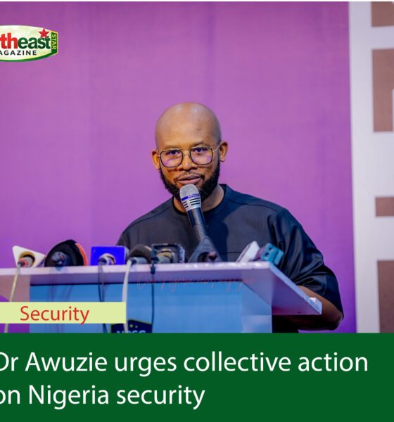 Awuzie Urges Collective Action on Nigeria Security