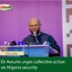 Awuzie Urges Collective Action on Nigeria Security