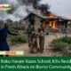 Boko Haram Razes School, Kills Resident in Fresh Attack on Borno Community