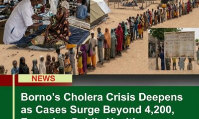 Borno’s Cholera Crisis Deepens as Cases Surge Beyond 4,200, Exposing Public Health Challenges