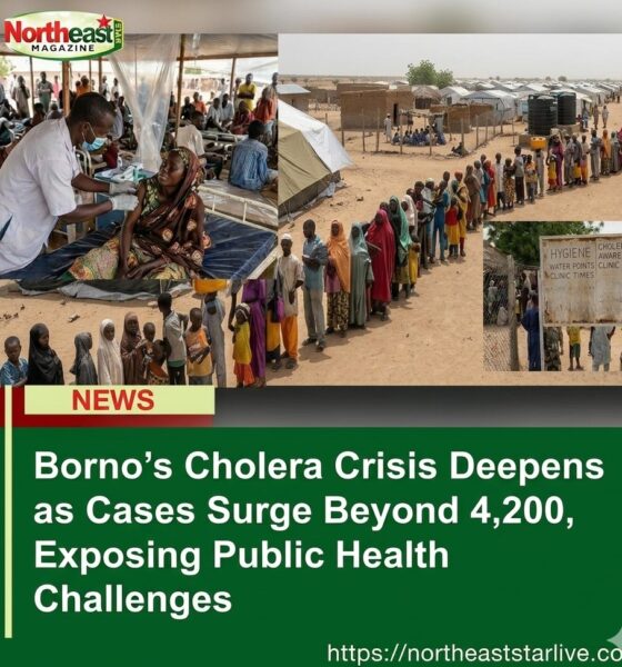 Borno’s Cholera Crisis Deepens as Cases Surge Beyond 4,200, Exposing Public Health Challenges