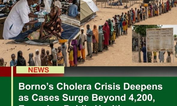 Borno’s Cholera Crisis Deepens as Cases Surge Beyond 4,200, Exposing Public Health Challenges