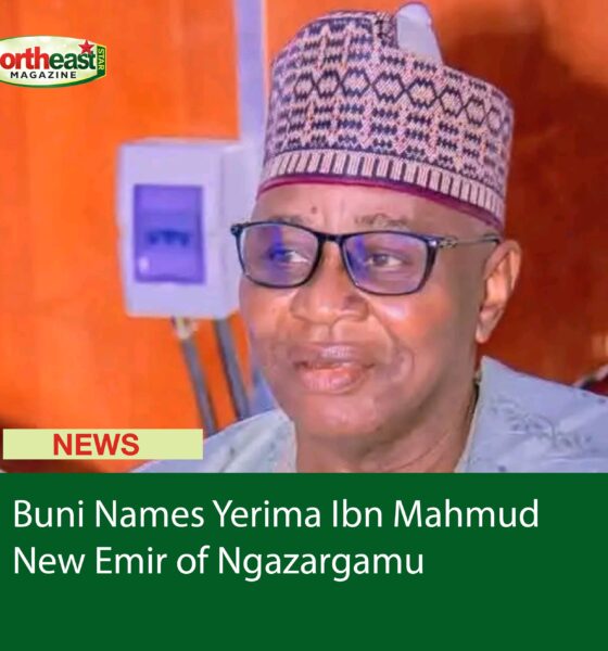 Buni Names Yerima Ibn Mahmud New Emir of Ngazargamu