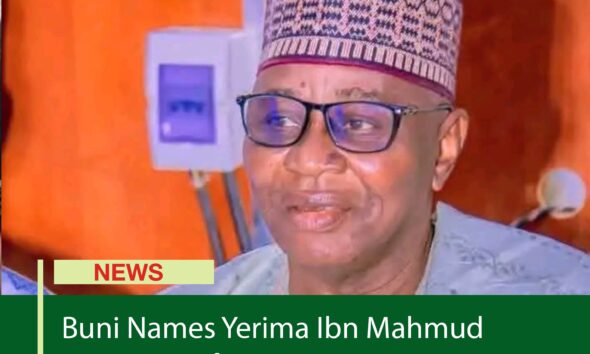 Buni Names Yerima Ibn Mahmud New Emir of Ngazargamu
