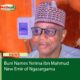 Buni Names Yerima Ibn Mahmud New Emir of Ngazargamu