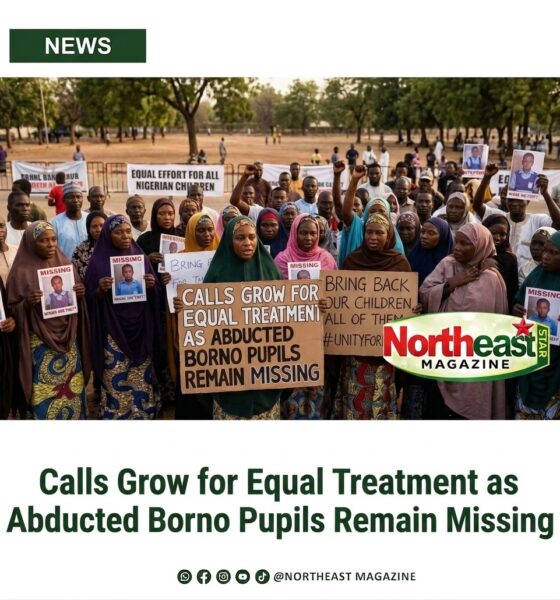 Calls Grow for Equal Treatment as Abducted Borno Pupils Remain Missing
