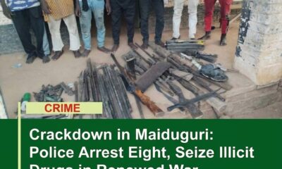Crackdown in Maiduguri: Police Arrest Eight, Seize Illicit Drugs in Renewed War Against Substance Abuse