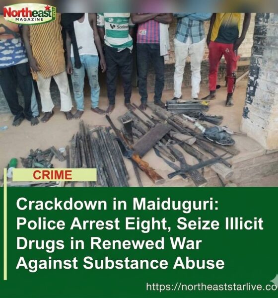 Crackdown in Maiduguri: Police Arrest Eight, Seize Illicit Drugs in Renewed War Against Substance Abuse