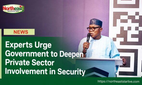 Experts Urge Government to Deepen Private Sector Involvement in Security