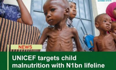 Gombe, UNICEF Targets Child Malnutrition with N1bn Lifeline