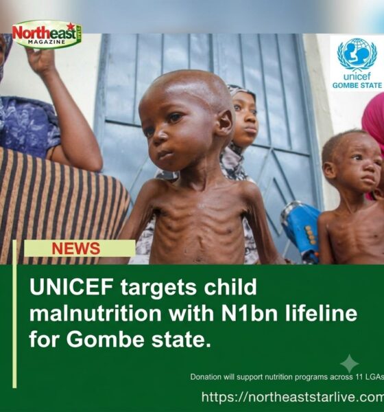 Gombe, UNICEF Targets Child Malnutrition with N1bn Lifeline