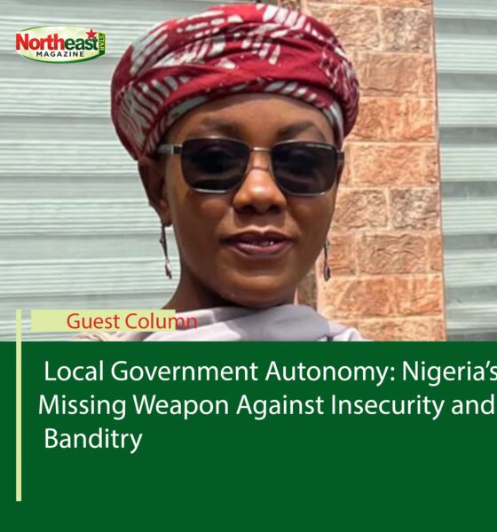 Local Government Autonomy: Nigeria’s Missing Weapon Against Insecurity and Banditry