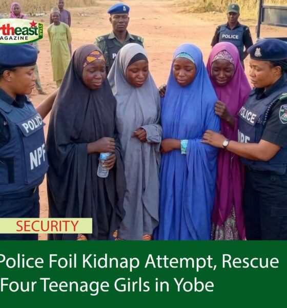 Police Foil Kidnap Attempt, Rescue Four Teenage Girls in Yobe