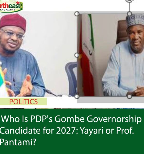 Who Is PDP's Gombe Governorship Candidate for 2027: Yayari or Prof. Pantami?