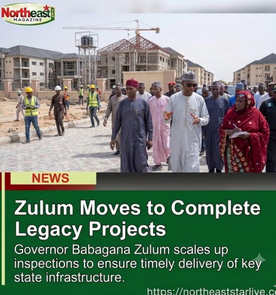 Zulum Moves to Complete Legacy Projects