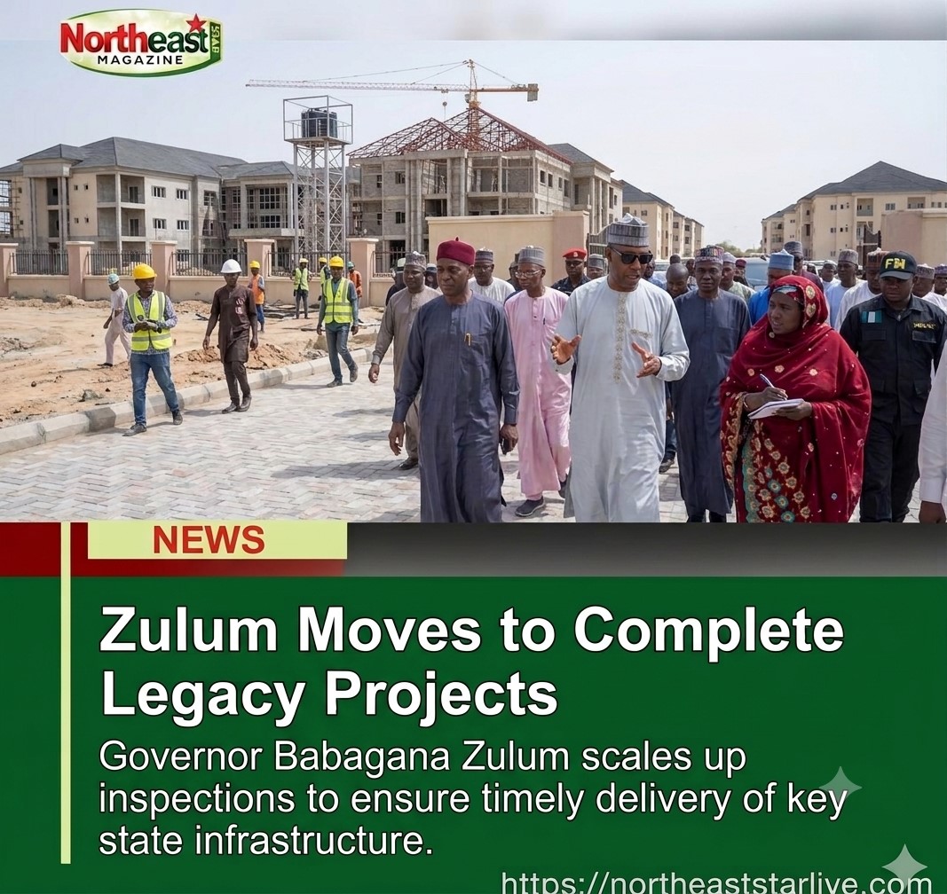 Zulum Moves to Complete Legacy Projects