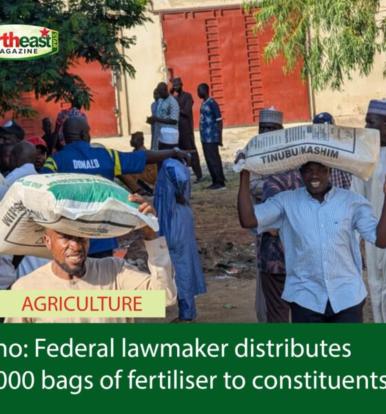 Borno: Federal lawmaker distributes 12, 000 bags of fertiliser to constituents