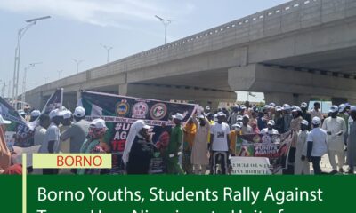 Borno Youths, Students Rally Against Terror, Urge Nigerians to Unite for National Security
