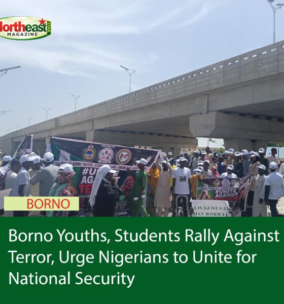 Borno Youths, Students Rally Against Terror, Urge Nigerians to Unite for National Security
